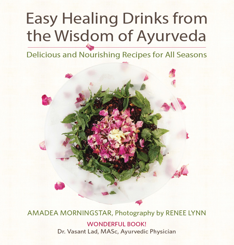 Healing Drinks book